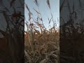 7 января 2024 г.