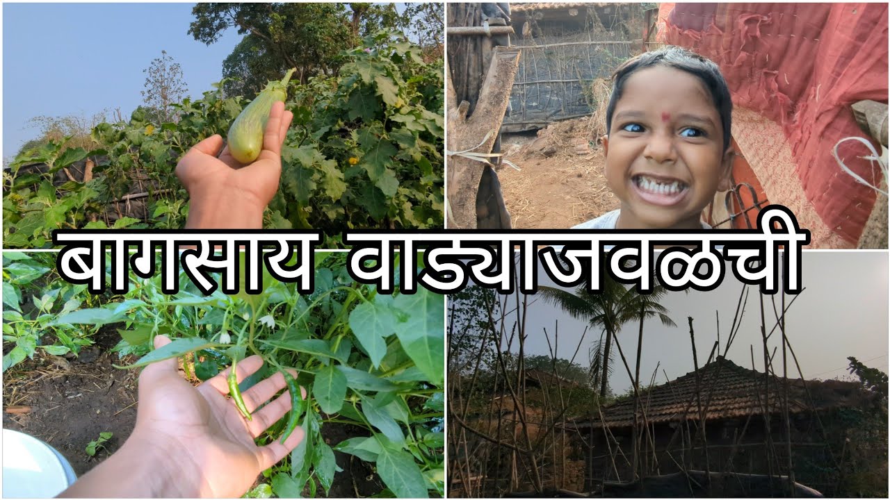 ओम बघा 😄😄| शेणखताचा खरा उपयोग | हे आनंदमय जीवन ✨ | Kokani Sankya | Beautiful Environment | Kokankar