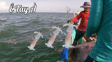 Nghề chài lưới -  Dính Con Này Gỡ Ê Tay Lắm | Câu Mực Biển Tây #196
