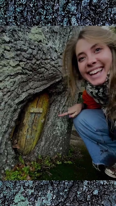 Viral !!! seorang wanita menemukan rumah peri dibawah pohon #shorts #viral
