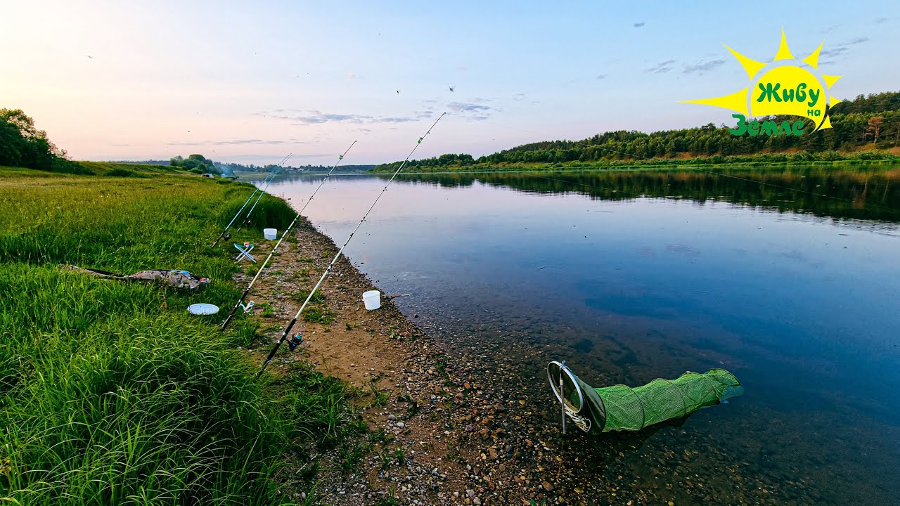 Рыбалка С Ночёвкой. Донки Крокодил Оснастка работает!