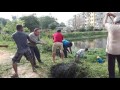 Akshayanagara lake  alligator weed removal from the lake water 10