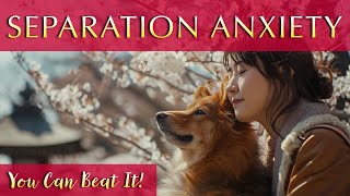 Beat Separation Anxiety! 🐾 Relaxing Music for Upset Dogs by Merlin's Realms - Music for Dogs and Humans 1,373 views 2 weeks ago 10 hours, 10 minutes