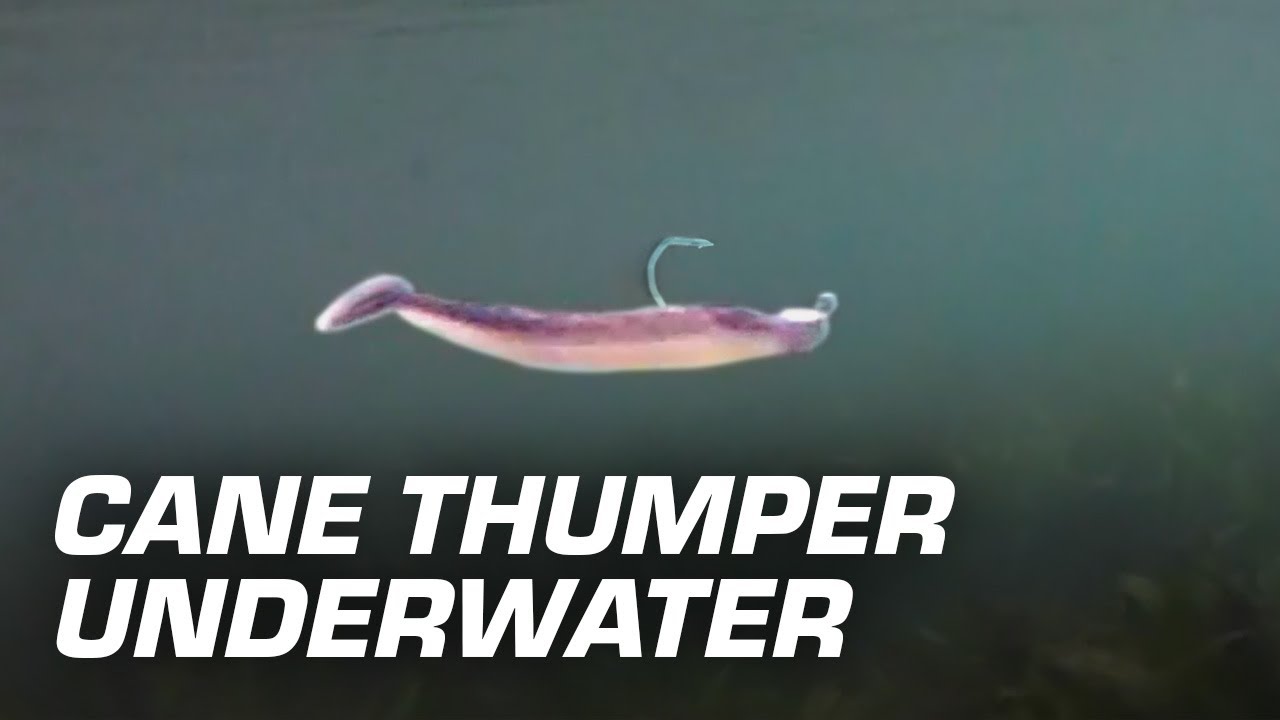 best beginner saltwater rod and reel Best Beginner Fishing Rod, Reel, Line & More For Using Saltwater Lures