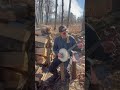 Banjo Break