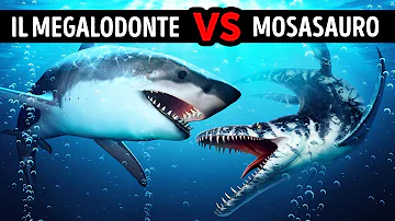 Chi è più forte il Megalodonte o il T-Rex?