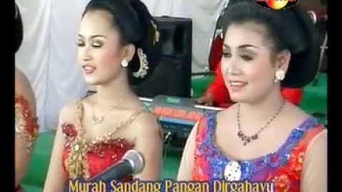 Dirgahayu-Ldr.Pamuji-Dolan Menyang Solo-Ora Rumongso