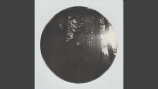 The Lamentation / Annihilation - Qais Essar