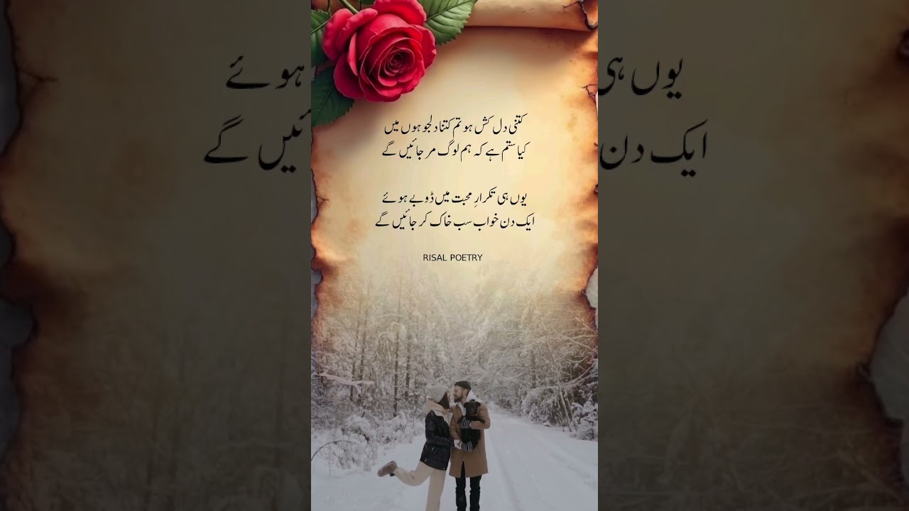 ketni dilkash hu tum ❤️..