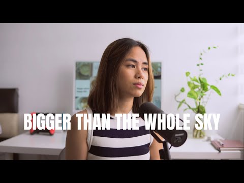Bigger Than The Whole Sky - Taylor Swift (Cover)