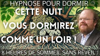 Hypnose POUR DORMIR COMME UN LOIR [🚨Guérissez votre sommeil !]