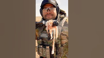 Cooking Bacon On A Suppressor