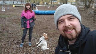 Собачий спорт