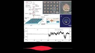 video: Scientists capture the ‘sound’ of bacteria in antibiotic breakthrough