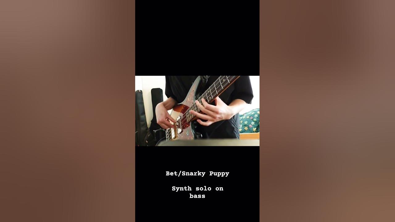 Bet / Snarky Puppy Synth solo on bass #bass #basscover #snarkypuppy #music Bet / Snarky Puppy Synth solo on bass #bass #basscover #snarkypuppy #music
