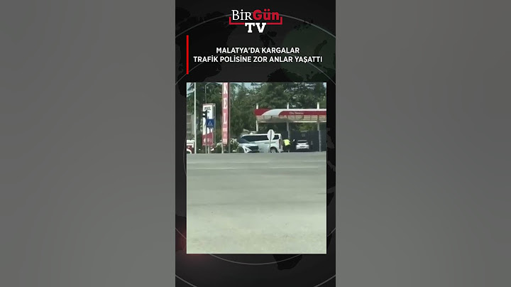 Malatya'da kargalar, trafik polisine zor anlar yaşattı
