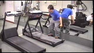 The Weirdest Crew In West Bloomfield