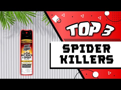 Best Spider Killers Solutions