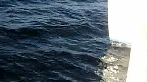 Sarabi sailing to California