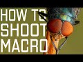 Your step by step guide to amazing macro photography