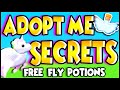 *TOP SECRET* THINGS YOU DIDN'T KNOW ABOUT ADOPT ME!! Adopt Me Secrets!! PREZLEY Adopt Me