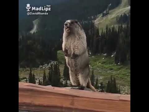 Marisa se enfada con Covadonga porque ahora va de deportista