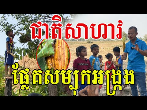 ប្លែកហួស ជាតិនោះជាតិ ផ្លែគញាត់សម្បុកអង្ក្រង ឆ្លាតណាស់ក្មួយៗ