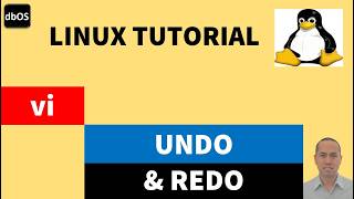vi UNDO and REDO