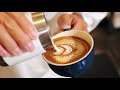 FREE POUR LATTE ART TURNER STYLE NYC ~Wing Tulip 242~（ウィングチューリップ）