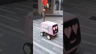 My Friend Tried to RIZZ UP a Food Delivery ROBOT in Miami! 🤣🤖