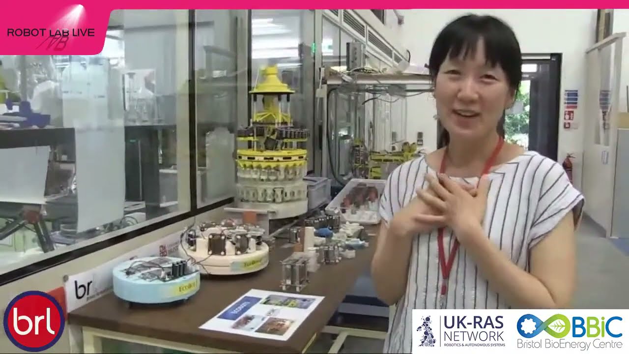 Pee Power | UWE | Robot Lab Live Highlights