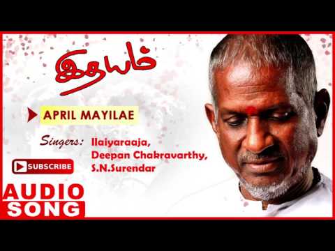 Idhayam Tamil Movie Songs | April Mayile Full Song | Murali | Heera | Ilayaraja | Music Master