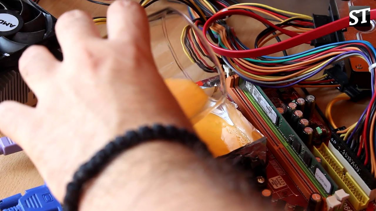 Przenje jaja na procesoru