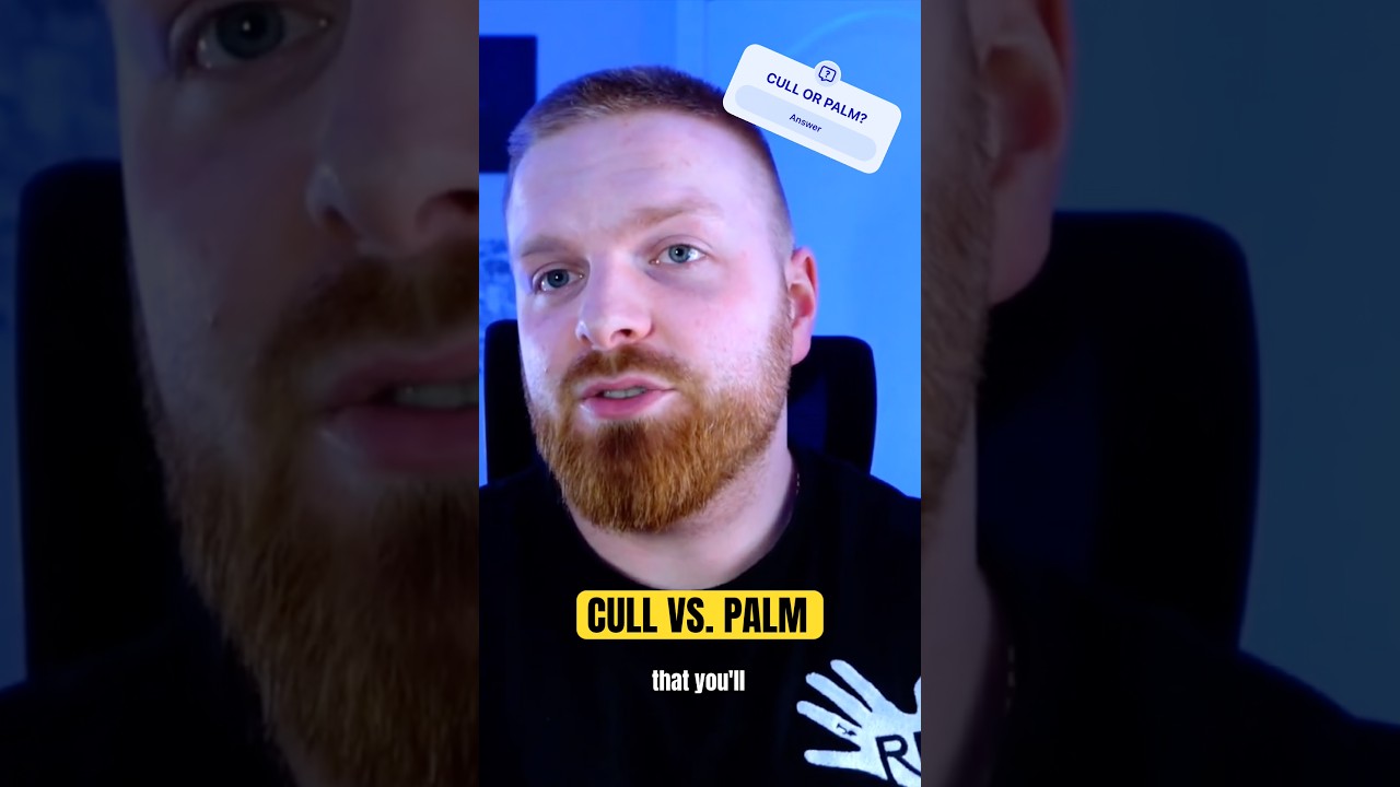 Если бы у вас была только ОДНА пара шорт, какую бы вы выбрали? 🤔 