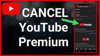 How To Cancel YouTube Premium Subscription Or Free Trial screenshot 3