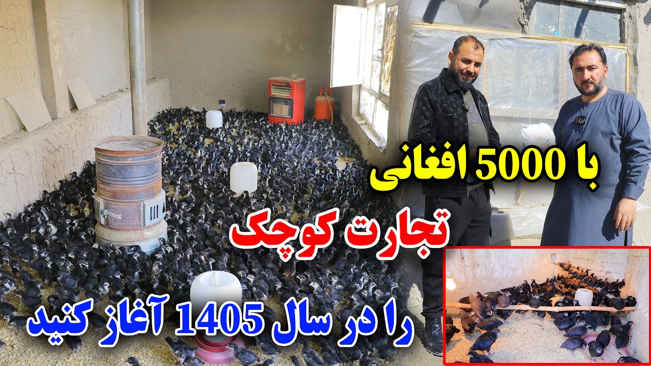 در سال 1405  با(5000) افغانی تجارت کوچک را آغاز کنیدو خود را صاحب کار بسازید 