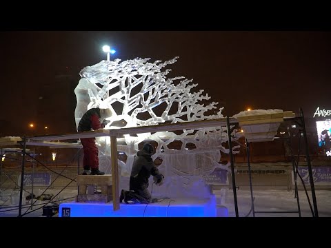 Video: Realistične skulpture pasa sa starih lanaca za bicikle. Zbirka pasa Nirit Levav