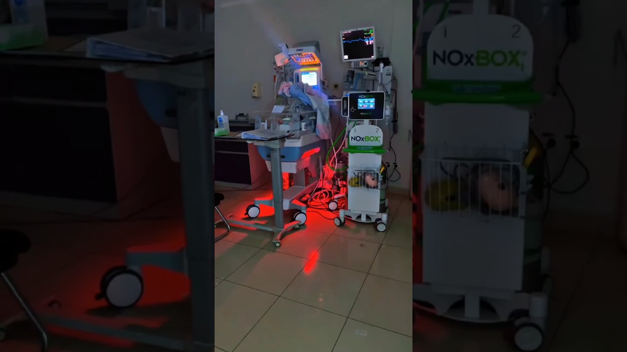 👨‍⚕️ ICU Doctor – The Lifeline of Critical Care 