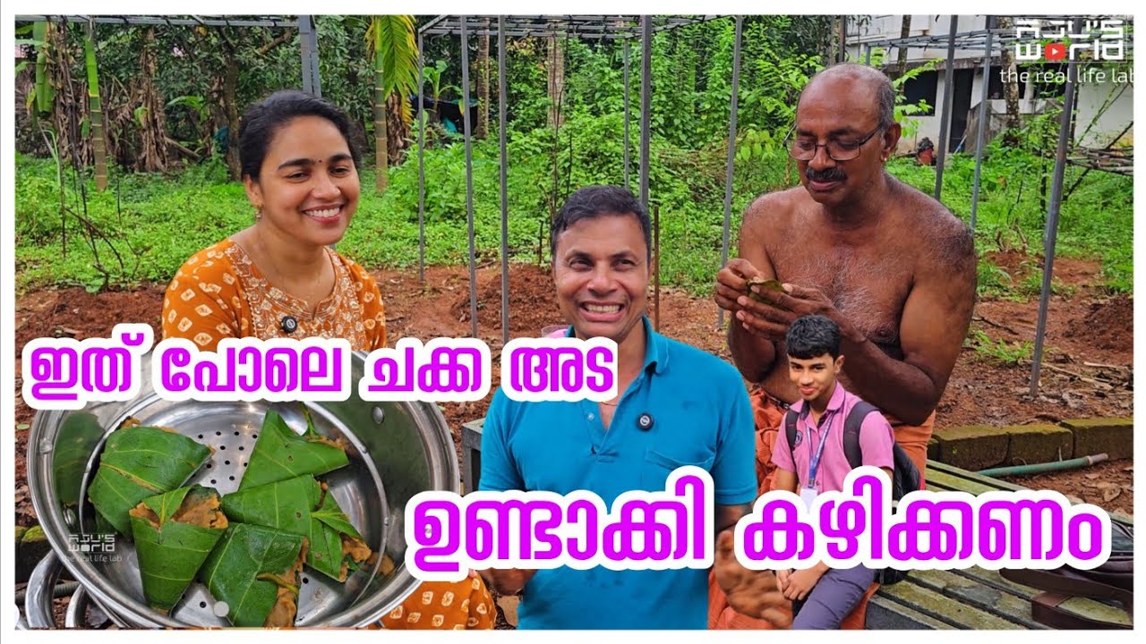 എടണ ഇലയിലെ ചക്ക അട /Traditional chakka ada recipe /Ada making /Snacks /Jackfruit recipe 