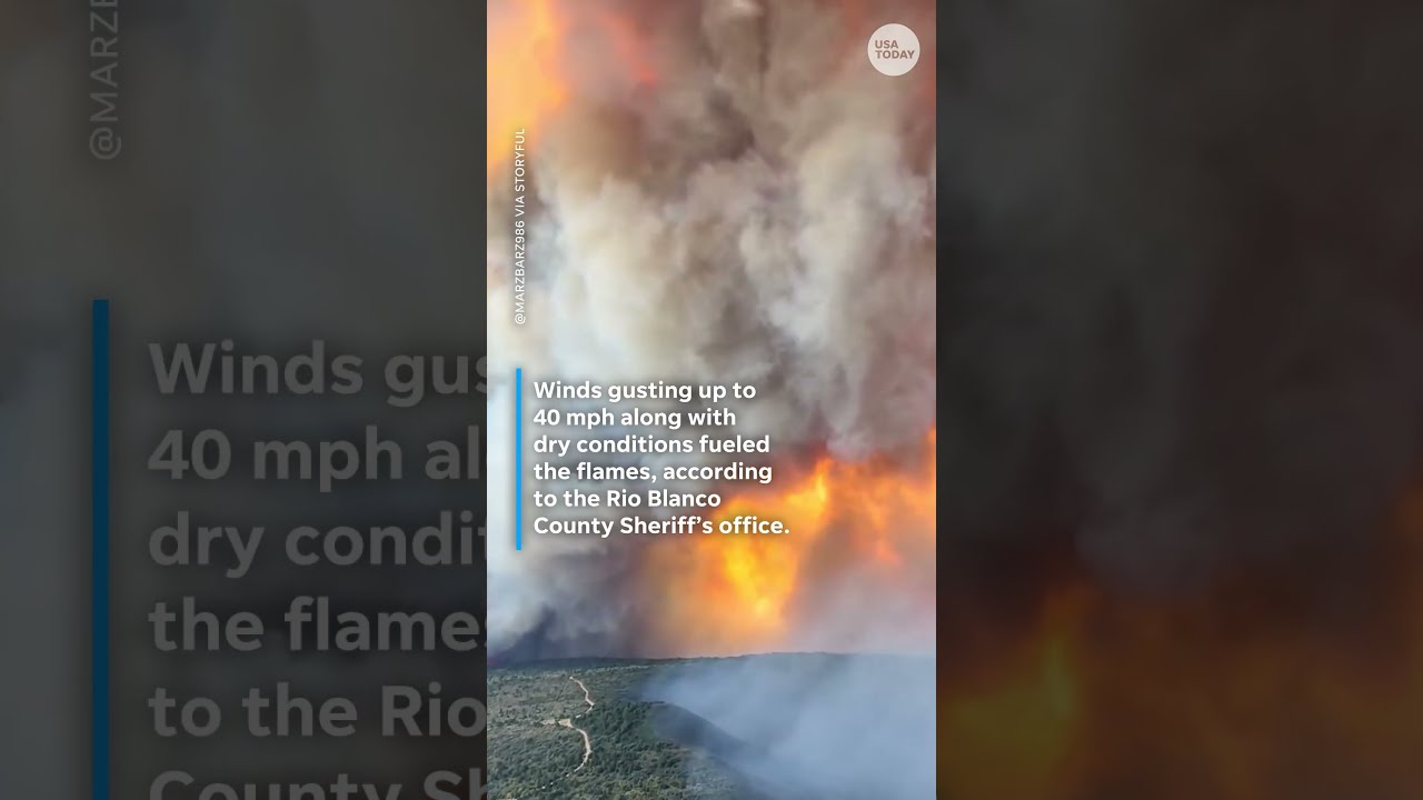 California Wildfires Prompt Evacuations On West Coast Shorts