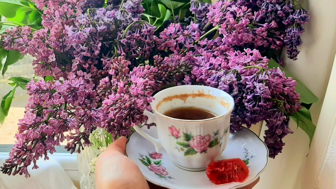 Пить кофе полезно☕ - YouTube