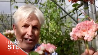 Garden Expert Alan Gray | Living St. Louis