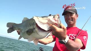 Lake Biwa 10 Pounder Bass on the Realis Spinbait 70