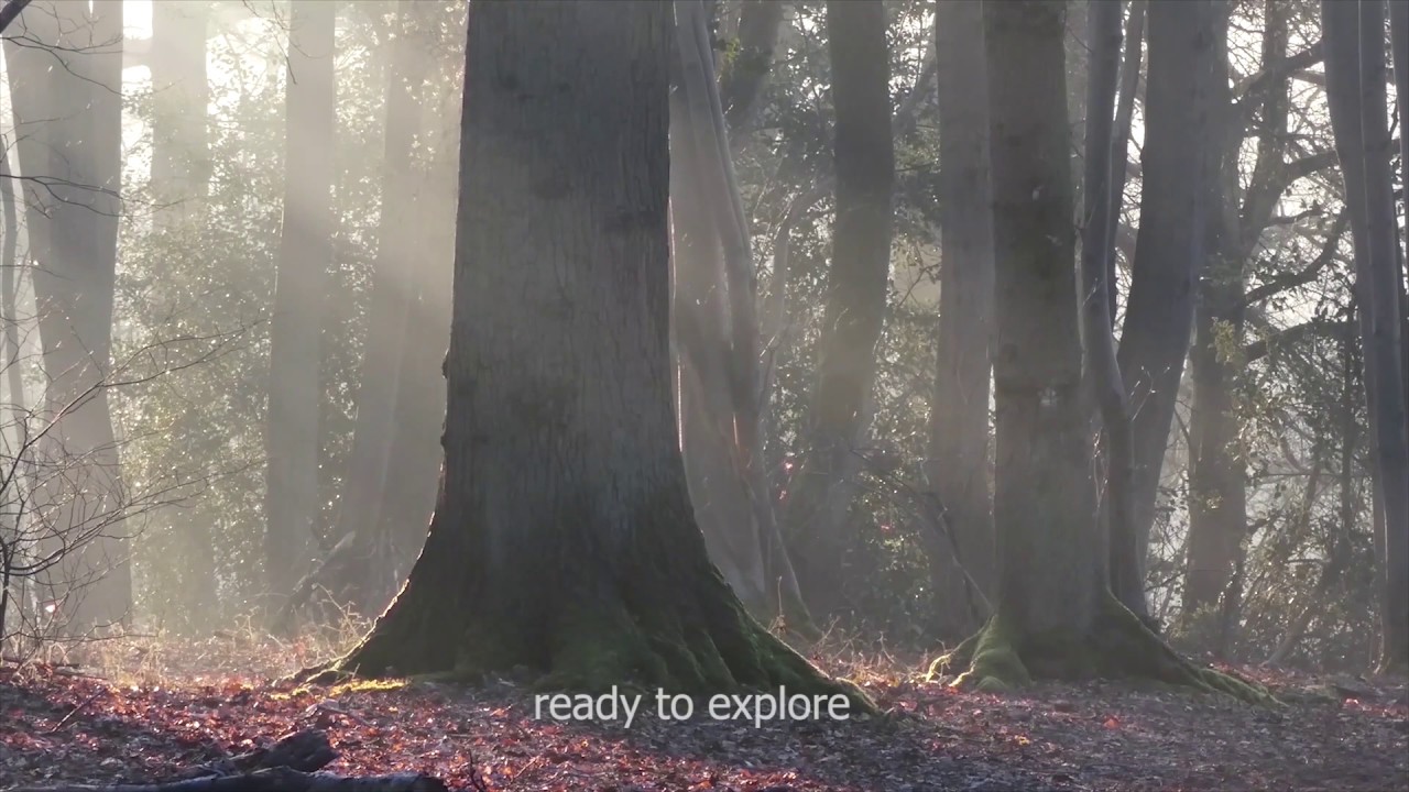 camera iphone 8 plus apk Brandon Reach - Warwickshire Wildlife Trust's newest nature reserve!