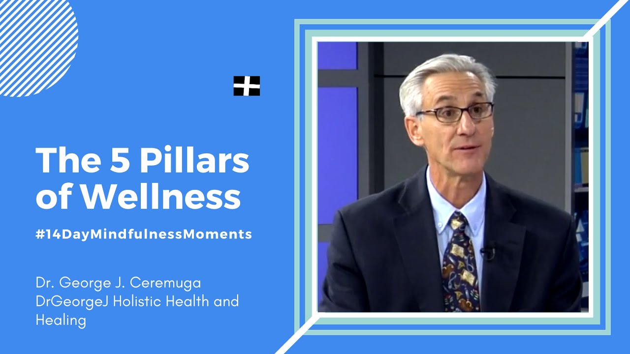 The 5 Pillars of Wellness | Holistic Health and Healing Dr. George Ceremuga