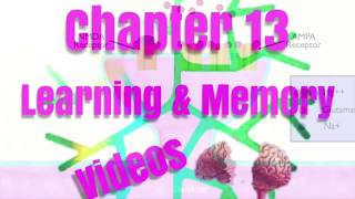 Ch.13 Videos Learning & Memory Net Worth