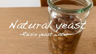 【自家製天然酵母】レーズン酵母の作り方Raisin yeast water