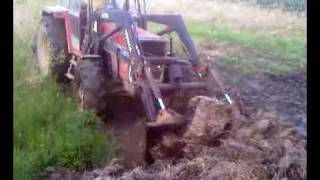 Massey Ferguson 294 with front loader