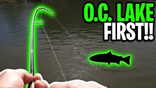 Fishing A New Orange County Lake! | Early February 2021