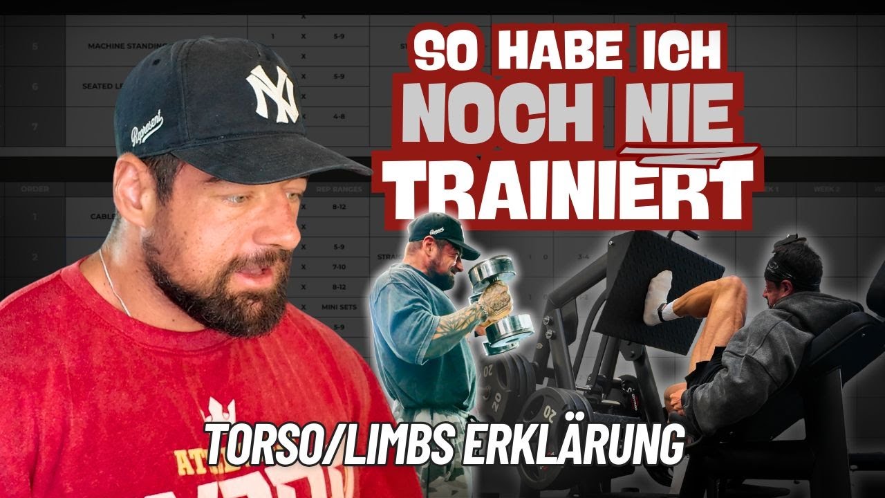 Mein neuer Trainingsplan! Torso/Limbs erklärt